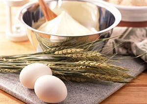 自由が丘で味わう絶品和菓子!贈り物にも最適なおすすめ店ガイド