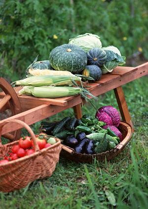 銀座で楽しむ!こだわりの日本酒と旬の食材が味わえる居酒屋ガイド