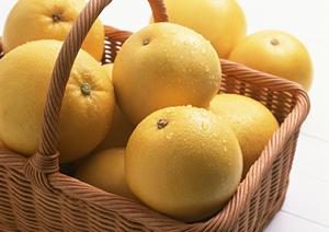 熊本名物も提供する熊本駅から近い居酒屋