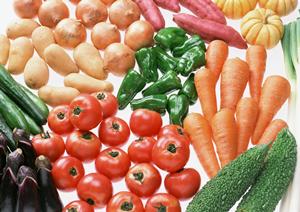 みなとみらい – シェイクシャック Shake Shackの魅力と特徴