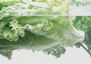 新宿サザンテラスのシェイクシャック:コミュニティの中心で美味しいハンバーガーを楽しもう