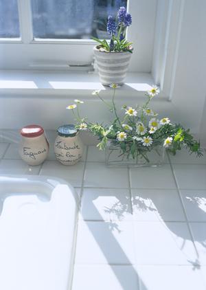 マルシン飯店の通販で購入できる餃子