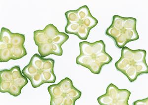 ワインと一緒に楽しめるオイスターバー