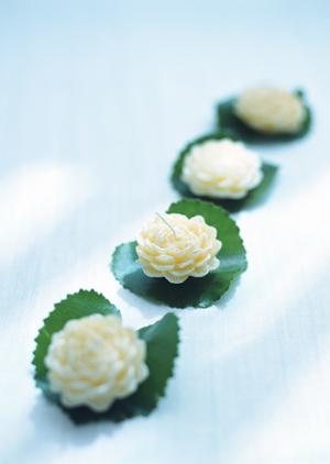 秋葉原の世界初テーマパークコンカフェ