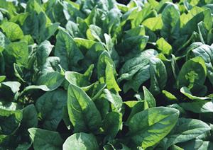 世界のビール博物館 横浜店で楽しむ多国籍ビール体験