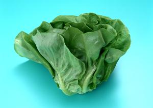 横浜の便利な場所にある居酒屋です